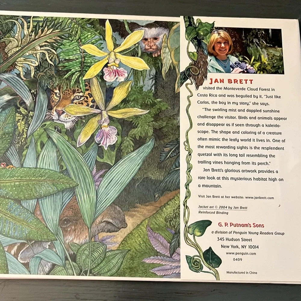 The Umbrella Hardcover – Picture Book  Sept. 2004 English edition  by Jan Bret